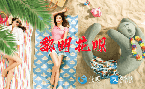 少见多怪花呗
